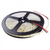 LED pásik SMD 2835 9,6 W/m 600 lm/m 120 LED/m 12 V 4000 K neutrálna IP63 rolka 5 m Ecolight
