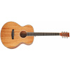 TANGLEWOOD TUN 3