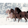 Maľovanie podľa čísel – Kone v snehu, 50 × 40 cm, bez rámu a bez napnutia plátna 8596530009047