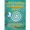 Léčivé bylinky na obnovení zdraví - Vadim Tschenze