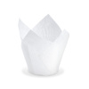 Wimex Tulipánový Cukrársky košíček biely 50x85mm 100 ks