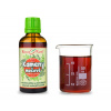 Kameny močové - bylinné kapky (tinktura) 50 ml - doplněk stravy