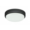 LED stropné svietidlo moderné čierne okrúhle 20 Rabalux