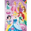 Disney Princezny - Omalovánka A4