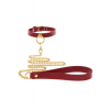 Taboom Bondage in Luxury O-Ring Collar and Chain Leash