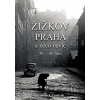 Žižkov, Praha a něco navíc - František Pavlíček