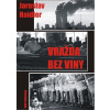 Vražda bez viny