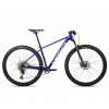 Horský bicykel - MTB MTB Onna Mountain Bike 29 10 m je k dispozícii (MTB MTB Onna Mountain Bike 29 10 m je k dispozícii)