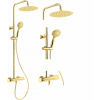 Sprchový panel Deante Arnika, zlatý NAC_Z1QK