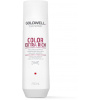 GOLDWELL Dualsenses Color Extra Rich Brilliance Shampoo 250 ml