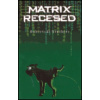 Matrix recesed - Robertski Brothers