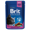 BRIT Premium Cat Chicken & Turkey kaps.100g