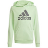Adidas Big Logo Hoodie Jr IS2591 sweatshirt (188061) 140 CM