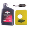 Olej do kosačky - Ropa pre kosačku Briggs & Stratton SAE30 1,4 l (Ropa pre kosačku Briggs & Stratton SAE30 1,4 l)