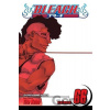 Bleach Volume 66 - Tite Kubo