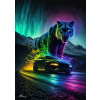 Diamantové maľovanie Norimpex 40x30 cm Šelma polárnej žiary