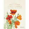 Wild Flowers of North America
