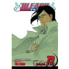 Bleach, Vol. 72