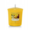 Yankee Candle Tropical Starfruit 49 g