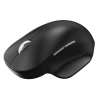 Incase Bluetooth Ergonomic Mouse, Black, 222-00004