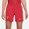 Nike Liverpool Home Shorts 2024 2025 Womens Red 10 (S)