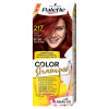 Palette Color Shampoo farbiaci šampón 217 mahagónový, 1 bal.