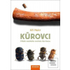 Kůrovci (Jiří Hulcr)