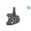 Čap nápravy zavesenia kolies MEYLE GERMANY Autoparts AG 100 501 0012