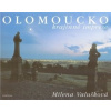Olomoucko krajinné imprese