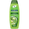 Palmolive Naturals Silky Shine Effect šampón pro normální vlasy 350 ml