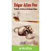 E-kniha Príbehy Arthura Gordona Pyma - Edgar Allan Poe