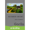 E-kniha Bludiště osudů - Jiřina Čermáková