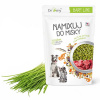 DROMY Mladý jačmeň 500 g