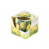 Vonná sviečka v skle dekoračná v krabičke, Citronella 75x75mm