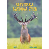 Slovenská raticová zver