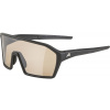 Alpina RAM Q-Lite V black matt 4003692327574