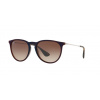 Ray-Ban RB4171 ERIKA 631513