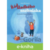E-kniha Řád sladkého sněhuláka - Ivona Březinová, Magda Veverková (ilustrátor)