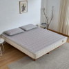 Prémiový letný chladiaci chránič matraca Ice Silk s povrchom ľadového hodvábu, s upevňovacou gumou a 2 obliečkami na vankúše | Sincere 160x200cm / Gray