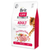 Brit Care Cat Grain-Free Adult Activity Support 2 kg