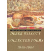 Collected Poems, 1948-84