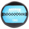 Wall Ball posilovací míč Hmotnost: 15 kg