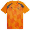 Puma Manchester City Pre Match Shirt 2023 2024 Adults Orange/Grey S