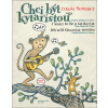 Chci být kytaristou