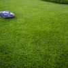 Trávnik Comfort pre robotické kosačky - Kiepenkerl - predaj semien - 10 kg