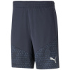 Puma teamCUP Training Shorts