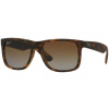 Sluneční brýle Ray-Ban Justin RB4165 865/T5 POLARIZED se slevou 40 %