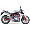 NÁLEPKY JUULA NA MOTOCYKEL PRE KAWASAKI ER 6N 2005-2008 STRIEBORNÁ TYP 2 474