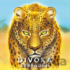 Divoká Serengeti - REXhry