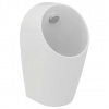 Ideal Standard Sphero - Pisoár, zadný prívod vody, Rimless, biela E183101